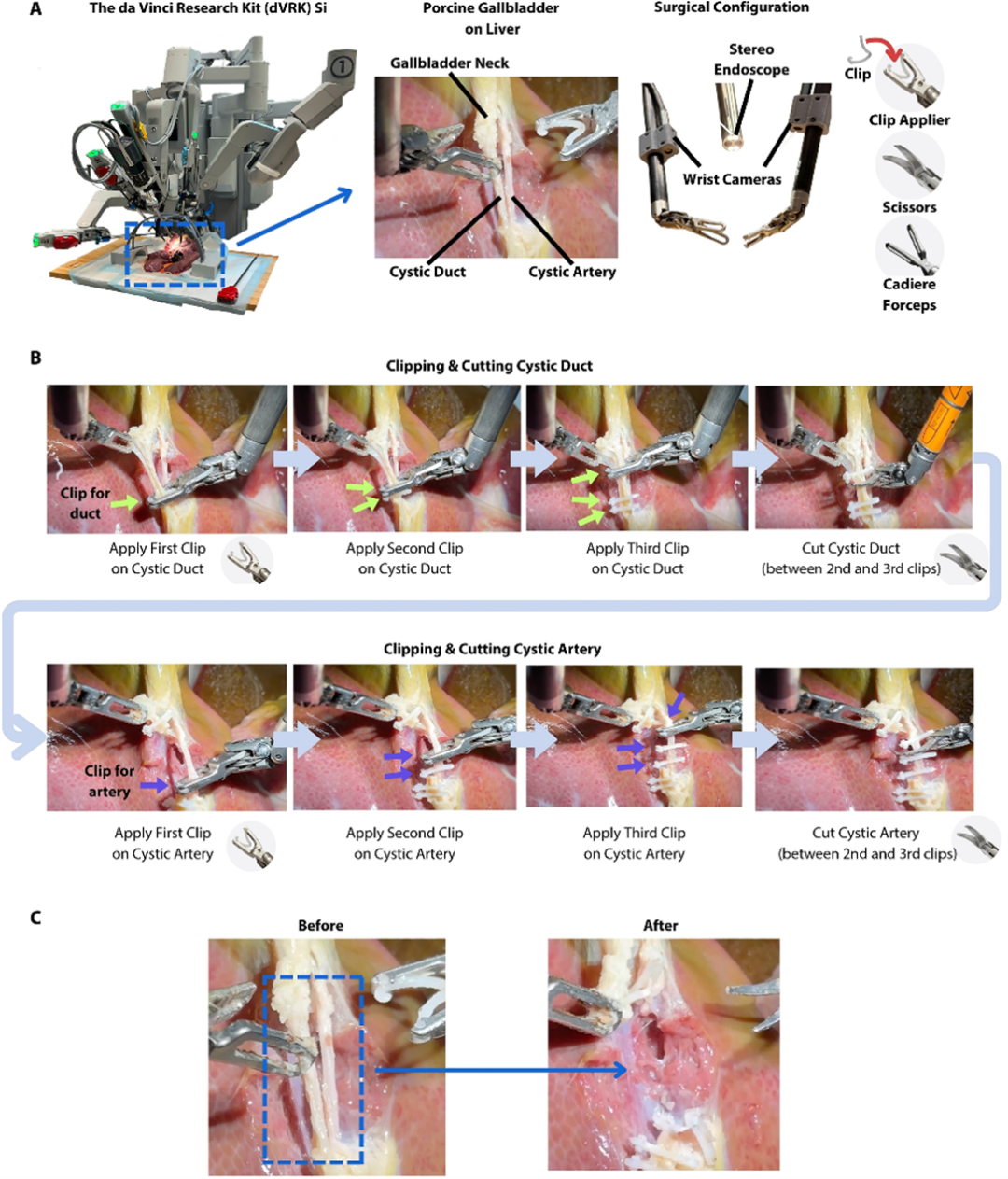 New Technologies | Medical Robotics Industry News (Fourth Issue of 2025)