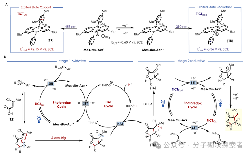 Photochemical Retrosynthetic Analysis Strategy Aids in Developing the Shortest Synthesis Route for Three Stemoamide Alkaloids
