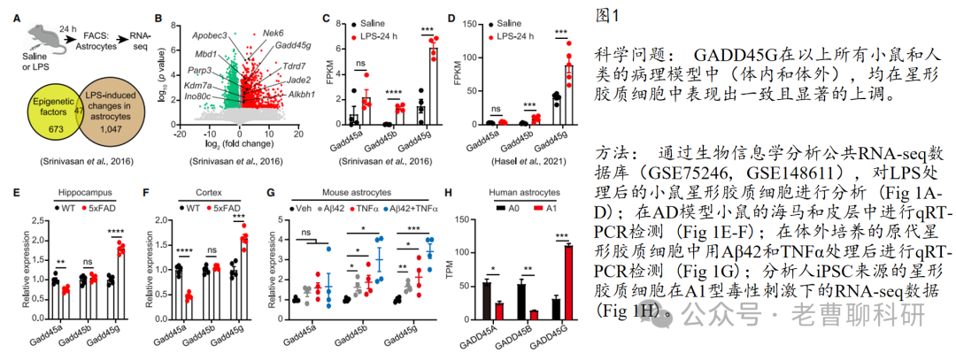 GADD45G as a Pathological Sensor: Coordinating Reactive Gliosis and Neurodegeneration