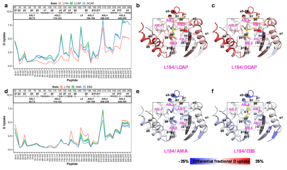 Inhibitor-Dependent Tolerance of New Delhi Metallo-β-Lactamase Driven by Single Mutation-Induced Conformational Changes