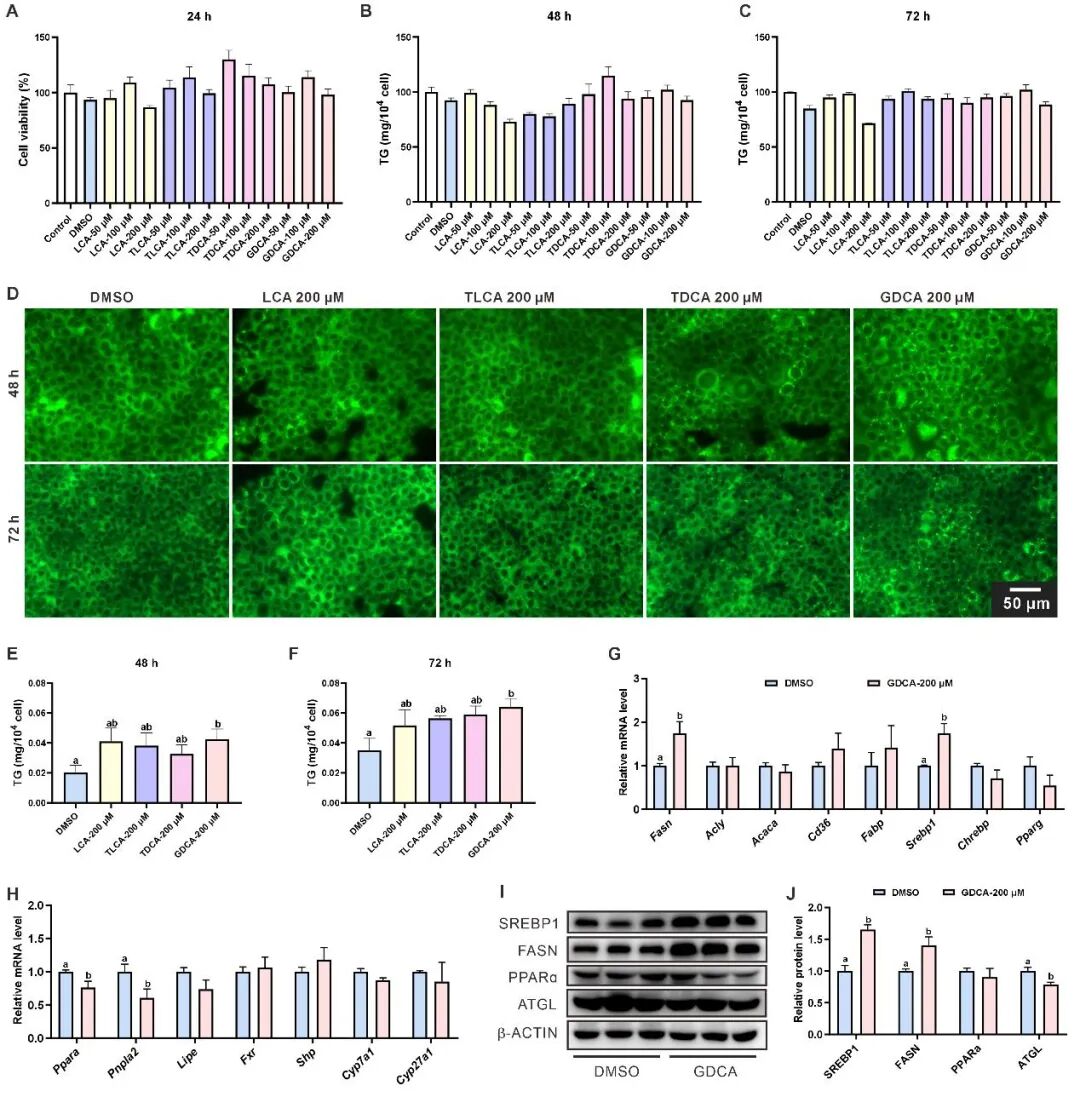 Research on the Mechanism of PCB138-Induced Metabolic-Related Fatty Liver Disease and Intervention with Theabrownin by the Team of Professor Zuo Zhenghong and Professor He Chengyong from Xiamen University
