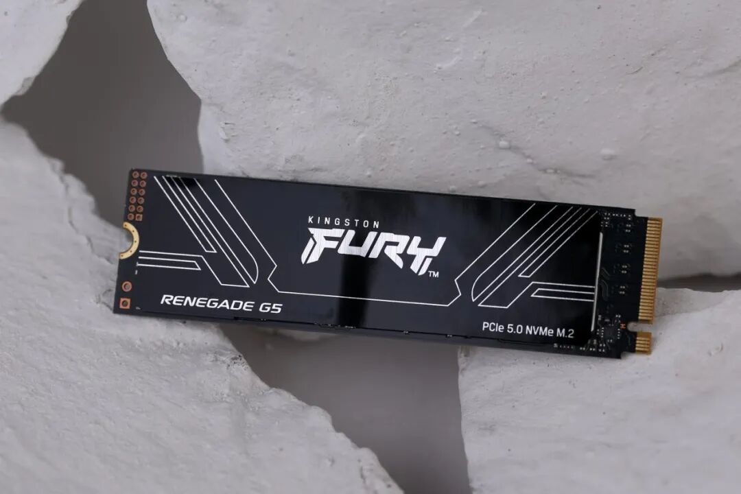 The Arrival of PCIe 5.0 SSD with 4000TB Write Endurance! In-Depth Testing of Kingston FURY Renegade G5