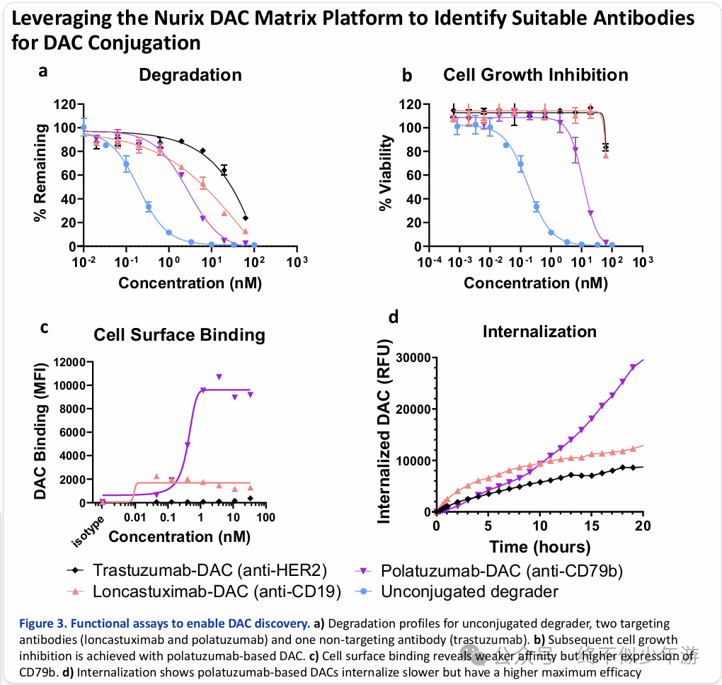 New Directions in ADC: Nurix's Next-Generation DAC Technology Platform