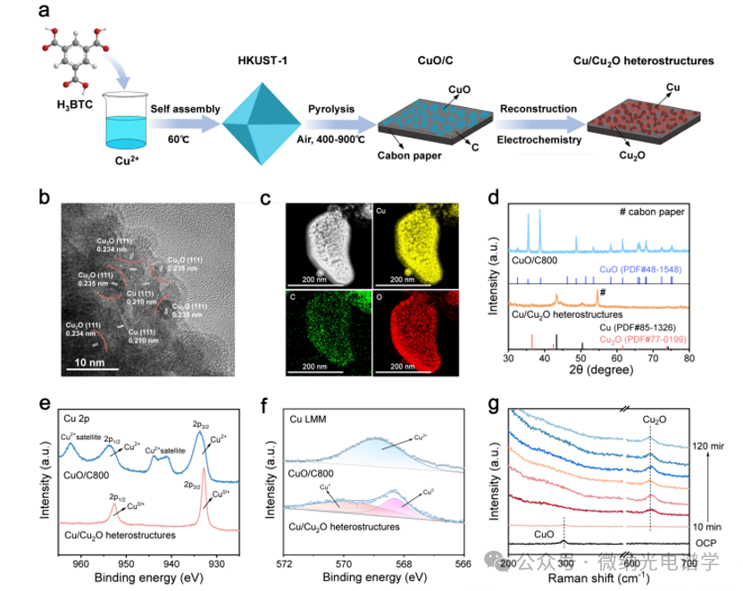 Dual Active Sites on Cu/Cu2O Heterostructures for the Cascade Electrocatalytic Synthesis of Amino Acids