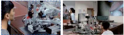 Compilation of Achievements from Wuhan University of Science and Technology (80)