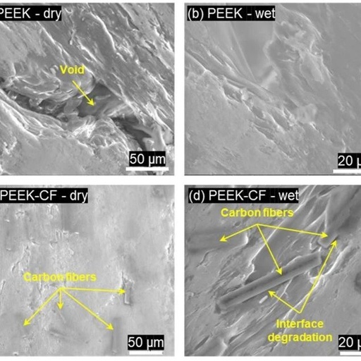 Water Durability of 3D-Printed PEEK and PEEK Carbon Fiber Composites