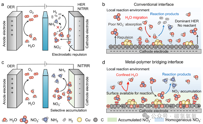 Janus Interface Enables Efficient Conversion of Waste Nitrate to Ammonia: A Metal-Polymer Bridging Strategy Unlocks New Pathways for Amperage-Level Nitrogen Fixation