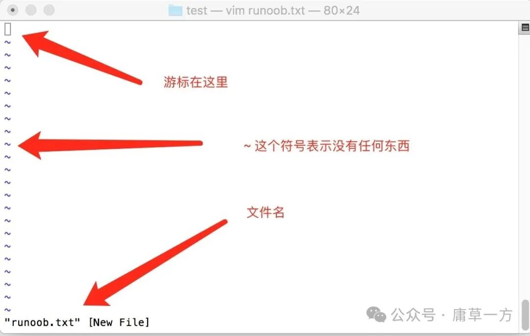 Comprehensive Guide to Linux vi/vim