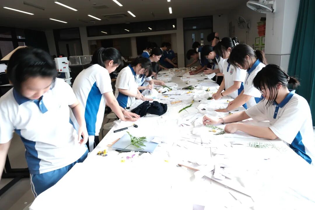 DIY Plant Dyeing Class Uniform: A Creative Journey of Life Worn on the Body NO.15