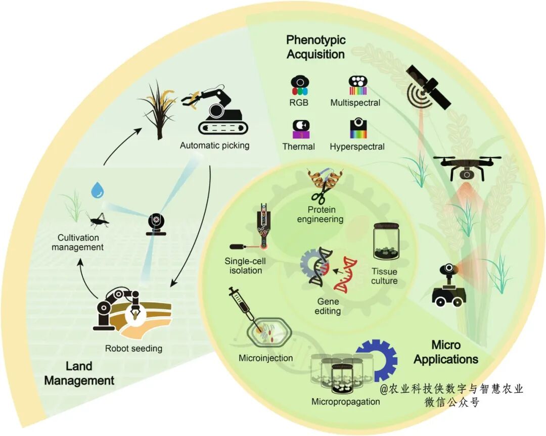 Academician Qian Qian: The 'Breeding 5.0' Framework Driven by Artificial Intelligence and Robotics Technology