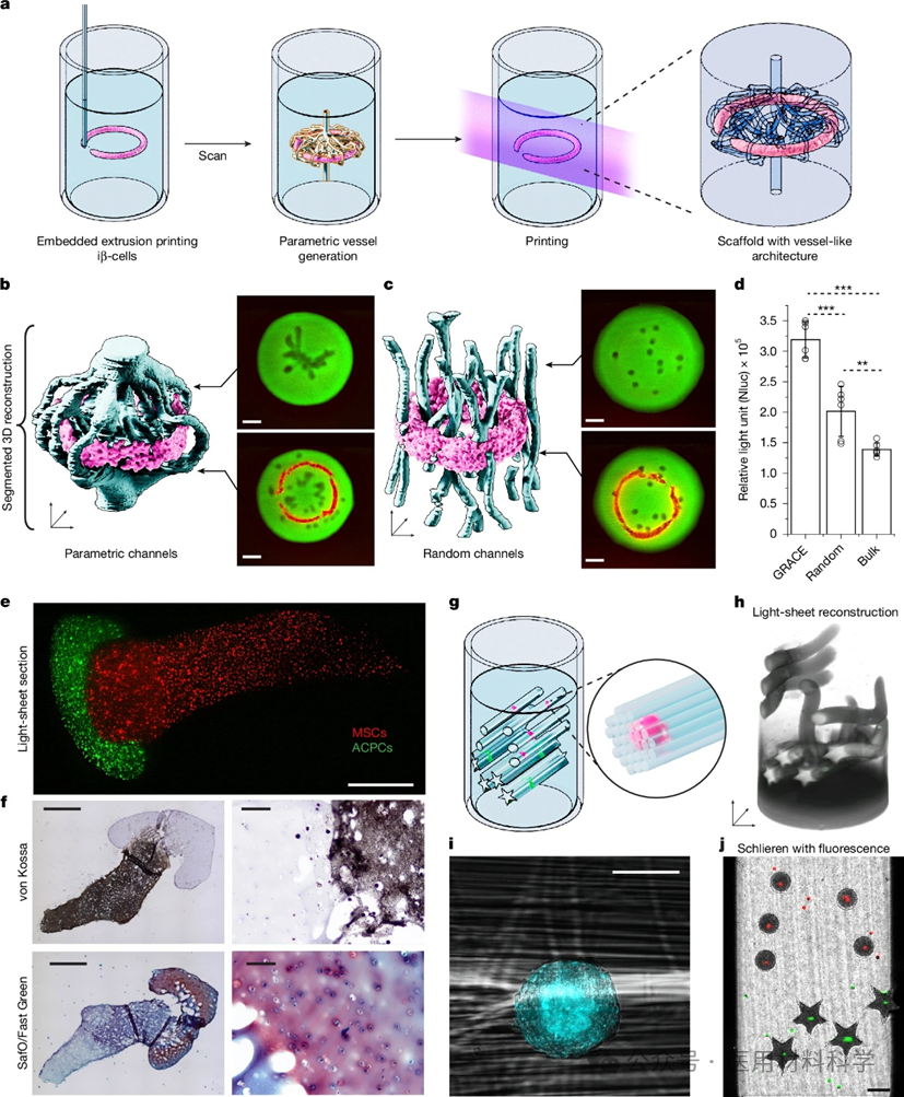 A 302-Day Journey: Biological 3D Printing in Nature!