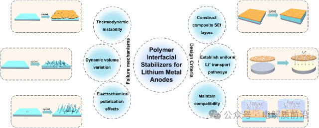 High Energy Density Lithium Batteries: Insights from Professor Li Zhongtao of China Petroleum University (East China)