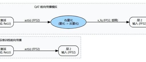 NPU Neural Processing Unit (7.3) - Quantization Strategy of QAT