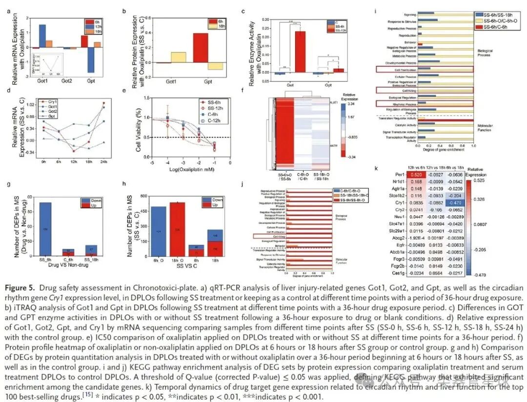 3D-Printed Scaffolds Promote Enhanced Spinal Organoid Formation for Use in Spinal Cord Injury