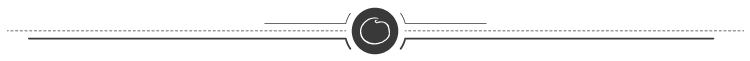 Overview of In-Vehicle Camera Parameters