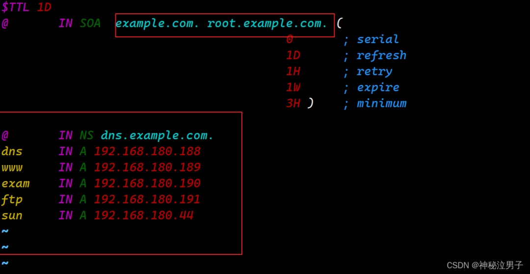 Setting Up a DNS Domain Name Resolution Server on Linux (Detailed Version)