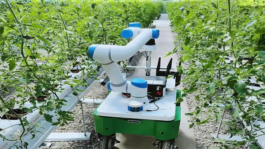 Current Development Status of Agricultural Robots in Major Countries