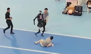 What Does the Humanoid Robot Olympics Mean for Human Society?