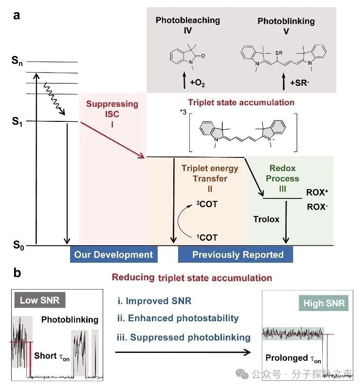 J.Am.Chem.Soc: Enhancing Single-Molecule Imaging Performance via Intersystem Crossing Suppression