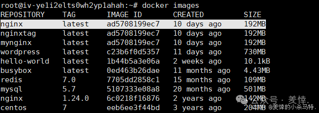 Mastering Docker End-to-End: Container Management, Nginx Homepage Customization, BusyBox Tool Practice, and Tencent Cloud Repository Deployment