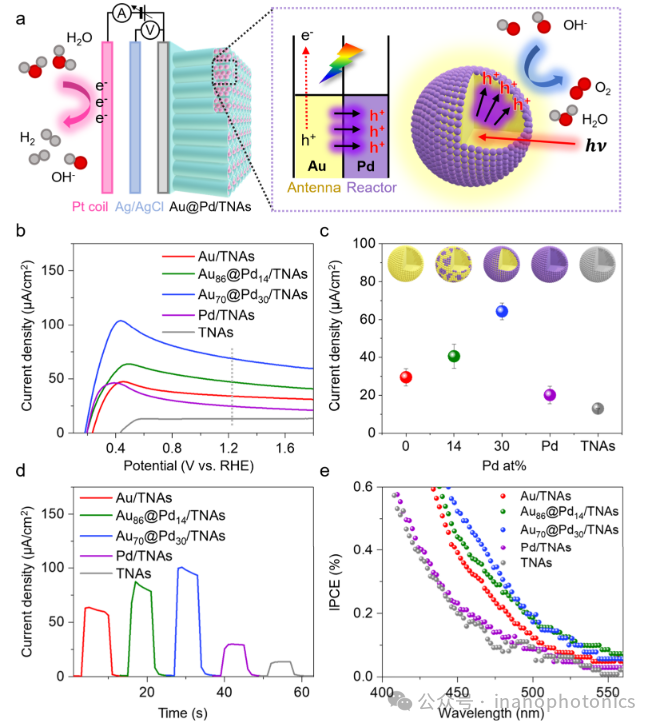 Impact of Hot Carrier Dynamics on Photoelectrocatalytic Activity on Au@Pd Antenna-Reactor Nanoparticles