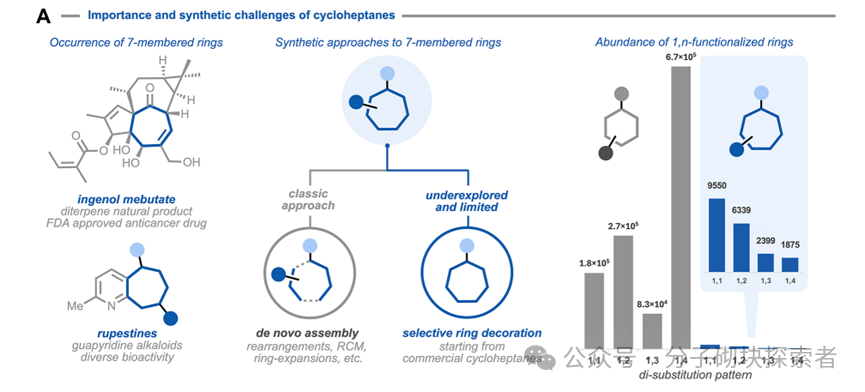 The Elusive Seven-Membered Ring Tamed! A New Photocatalytic Strategy Achieves Site-Selective Modification