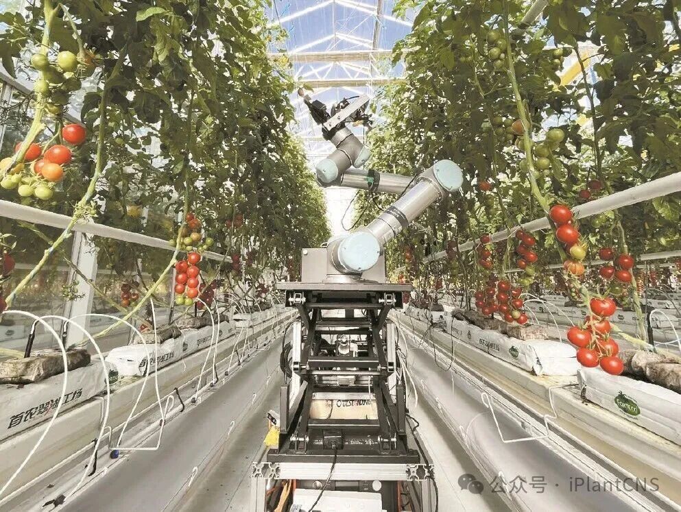 Case Studies of Agricultural Practices Using Artificial Intelligence Robots