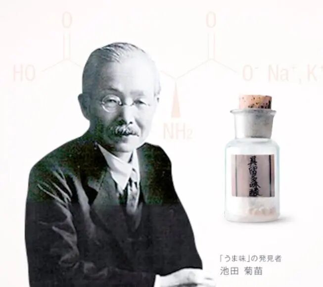 Ajinomoto's Grip on the Global Chip Industry