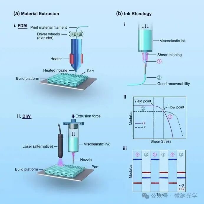 Academic Focus: Structural and Functional Customization of Interfacial Solar Evaporators Using 3D Printing Technology
