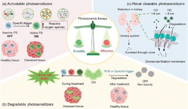Chem. Soc. Rev: Enhancing the Biosafety of Photodynamic Therapy