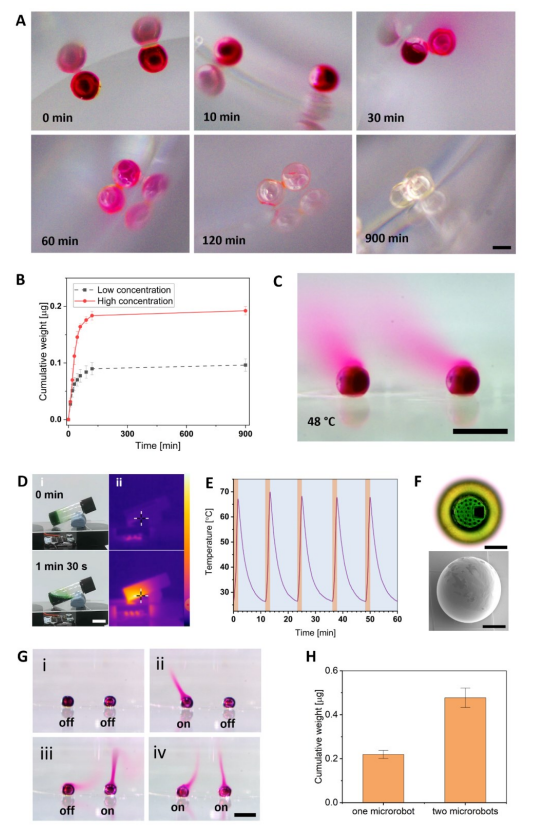 Application Research of Microfluidic Loading and Immersion Sealing Technology in Microrobots for Drug Delivery