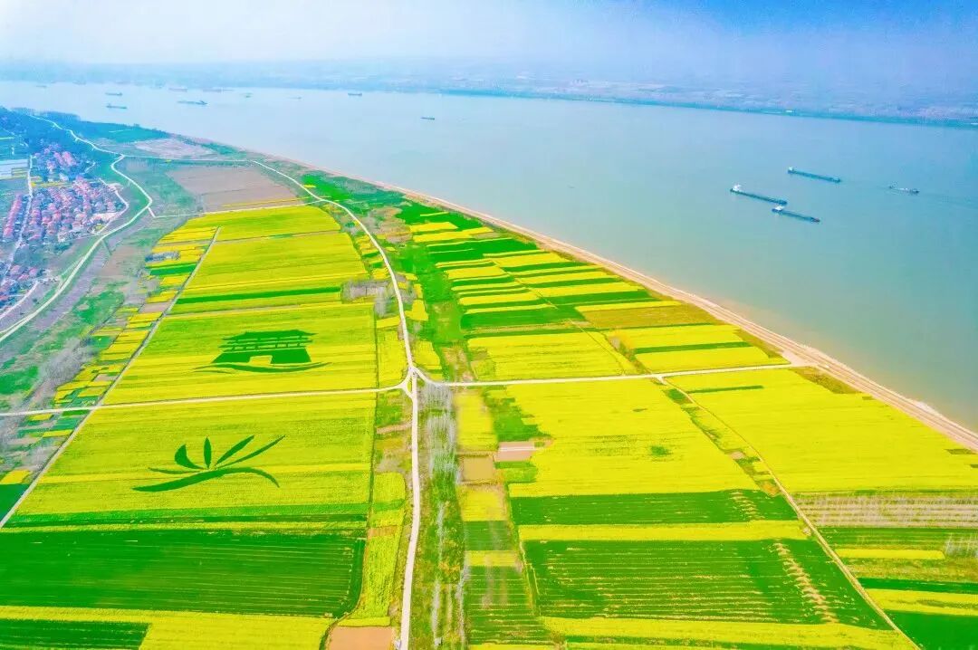 Strong Progress in the Semiconductor Industrial Park of Huarong District Aiming for Completion by Year-End