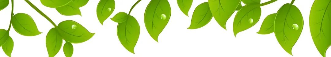 Lignocellulose-Mediated Gel Polymer Electrolytes: Enabling Next-Generation Energy Storage Devices
