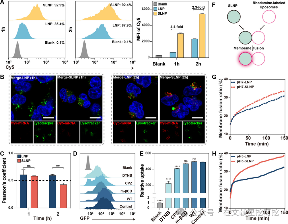 Engineering Thiol-Mediated Uptake Lipid Nanoparticles: Breaking Endosomal Barriers for Enhanced mRNA Expression