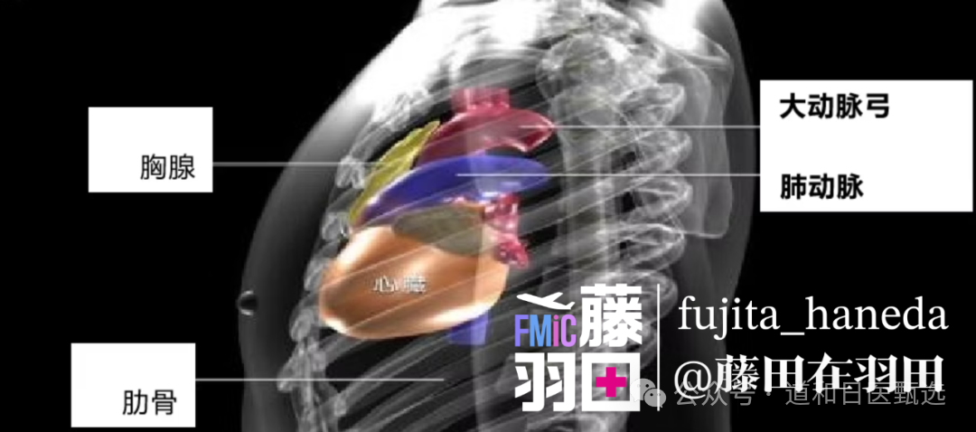 Robotic Surgery Leading the Future of Medicine: The Da Vinci Legend at Fujita Medical University Hospital