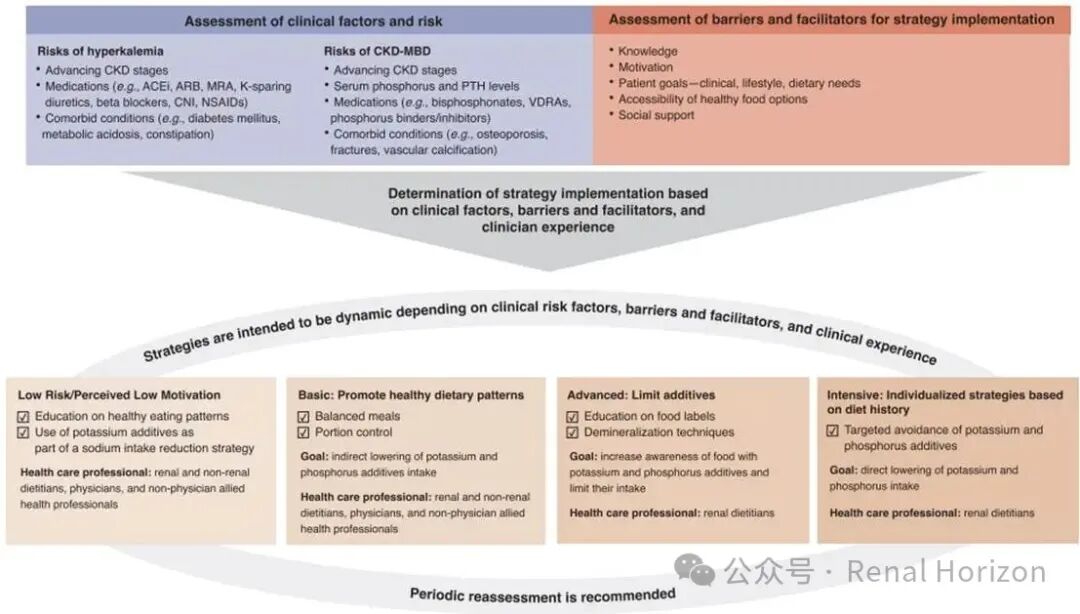 ASN Kidney Health Guidance on Potassium and Phosphorus Food Additives