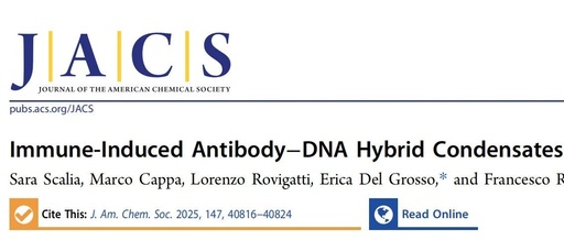 Immuno-Induced Antibody-DNA Hybrid Aggregates