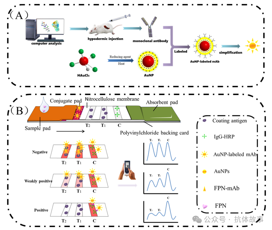 JHM: Visual Immunosensor Method with Double T Line for On-Site Sensitive Detection of Fipronil Pesticide in Water, Soil, and Honeysuckle