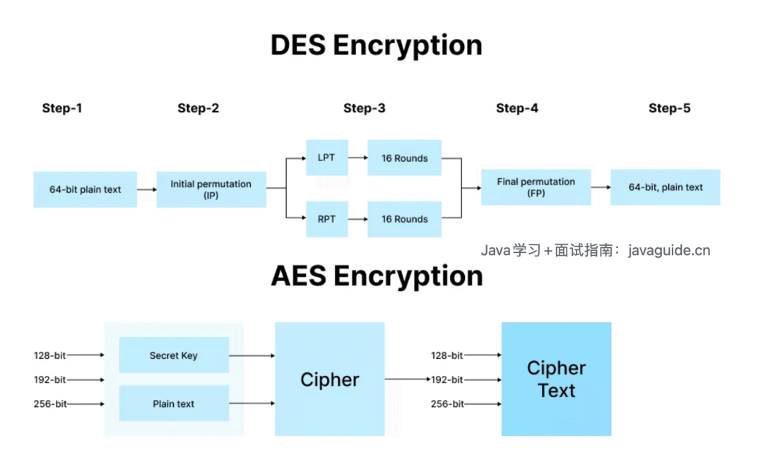 Password Security: A Comprehensive Overview of Common Encryption Algorithms
