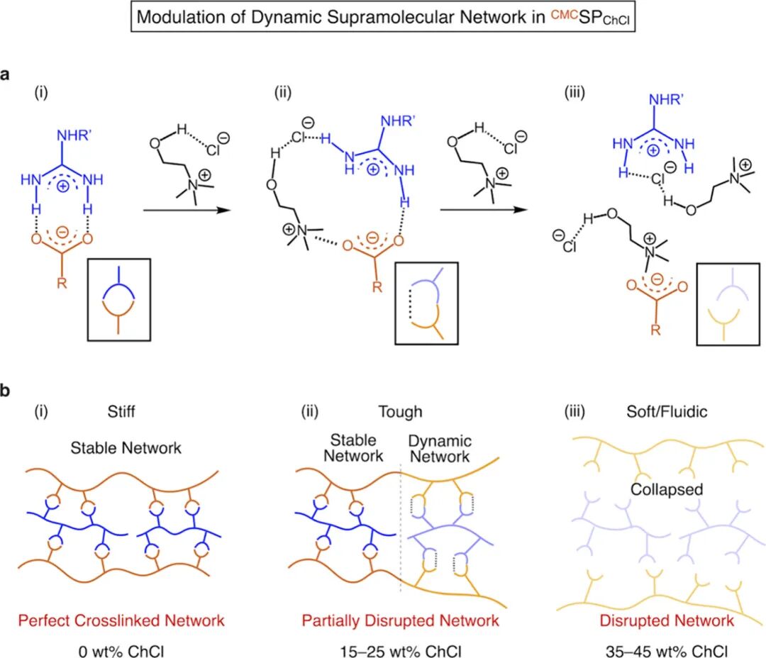 Choline Chloride Mediated Supramolecular Ionic Polymerization: Cellulose-Based Supramolecular Plastics with Widely Adjustable Mechanical Properties