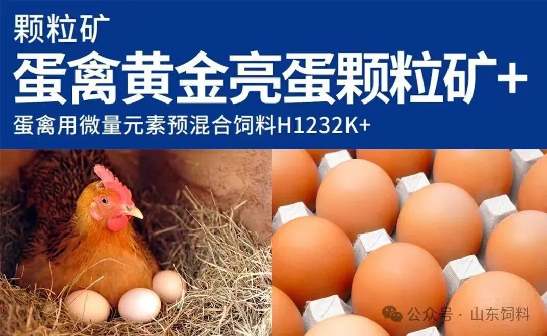 Leveraging Trace Element Chips to Transform Global Animal Nutrition