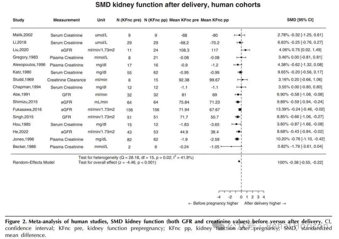 Pregnancy and Long-Term Kidney Function in CKD: A Systematic Review and Meta-Analysis