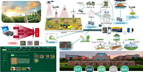 Can Non-Technical Individuals Cultivate Land? Smart IoT Makes Agriculture a 'Worry-Free Task'