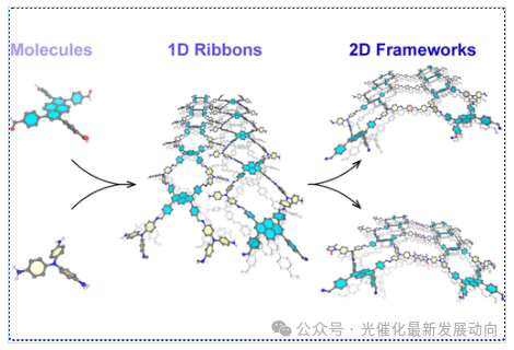 Transforming One-Dimensional Strips into Two-Dimensional Covalent Organic Frameworks via Imine and Amide Bonds