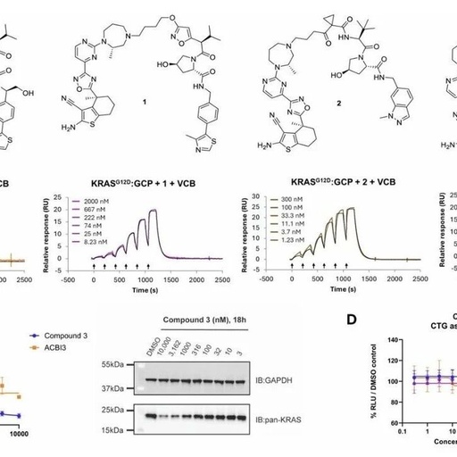 Targeting the 'Activated State' KRAS: Discovery of the Highly Cooperative PROTAC Degrader ACBI4