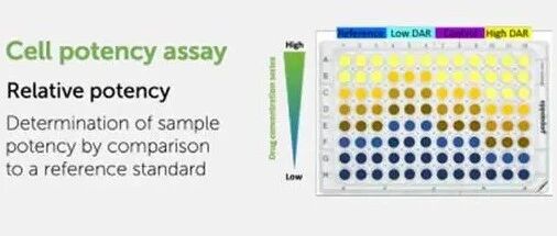 In Vitro Pharmacodynamic Evaluation - Development and Validation of Biological Activity Methods for ADC Drugs
