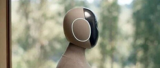 The Battle to Build Humanoid Robots Will Intensify