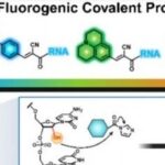 Fluorogenic Covalent Probes for RNA