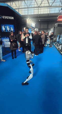 Robots: Why Waste Words with Foreigners!