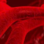 Microrobots Achieve Targeted Drug Delivery for Precision Therapy
